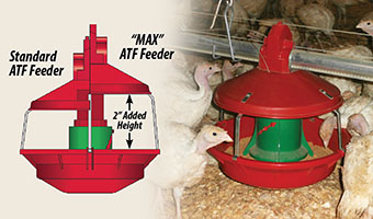 Automatic 2025 turkey feeder